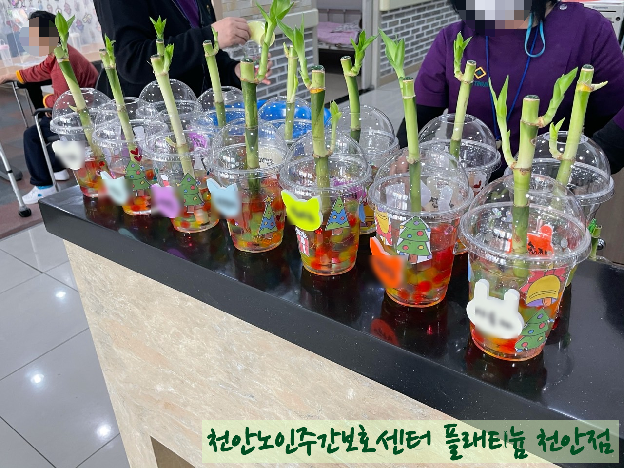 ♣원예활동♣ 개운죽 꾸미기 ^^